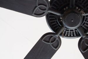 Ceiling Fan Installation Kissimmee