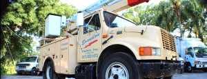 Electric Companies In Orlando