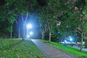 commercial landscape lighting orlando