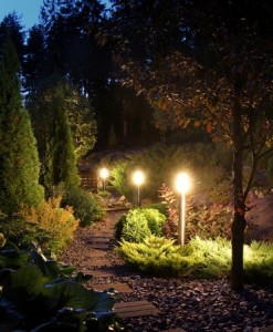 Landscape Lighting Installation Tampa